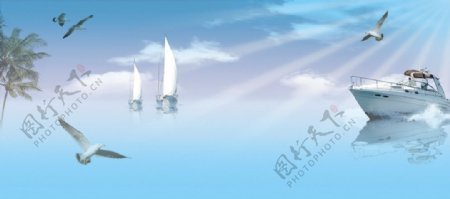 碧海蓝天航海椰树海鸥图片