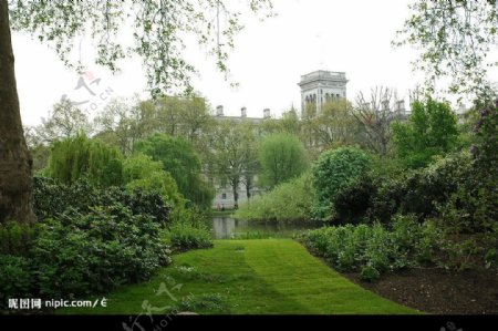 伦敦通往白金汉宫的花园图片