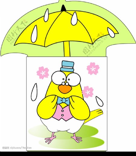 打伞的小鸡图片