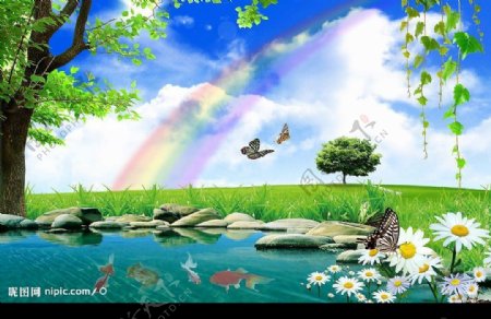 雨后池塘边彩虹图片