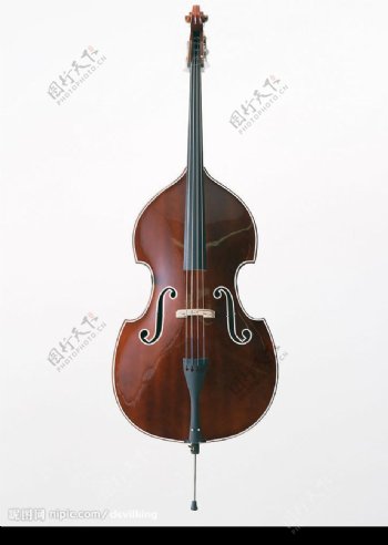 大提琴1图片