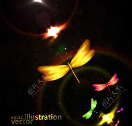 动感光线光驱蜻蜓图片
