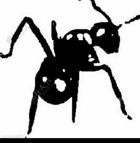 蚂蚁素材图片