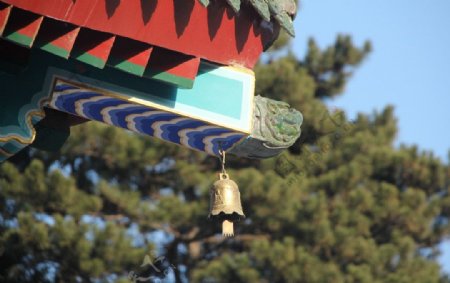 北京怀柔朝阳寺图片