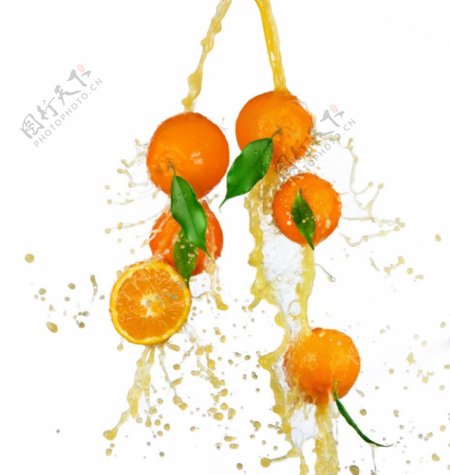 橙子橙汁图片