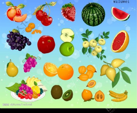 水果大集合矢量图片