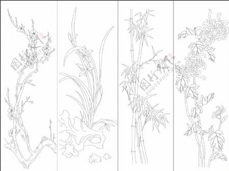 野生状态的梅兰竹菊图片