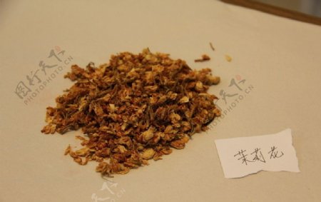 中药饮片茉莉花图片