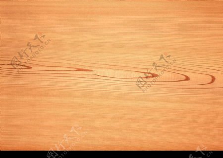 木纹树纹图片