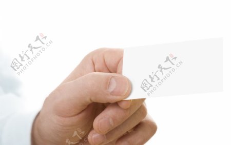 手中的空白名片卡片图片