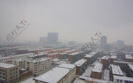 雪中城市图片
