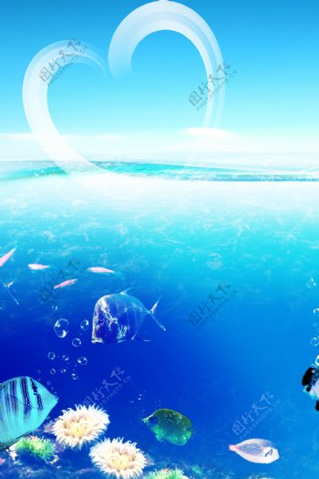 海底背景鱼与背景未分层图片
