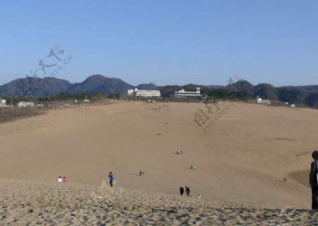 日本鸟取大沙丘图片