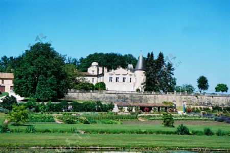 拉菲庄的葡萄园城堡图片