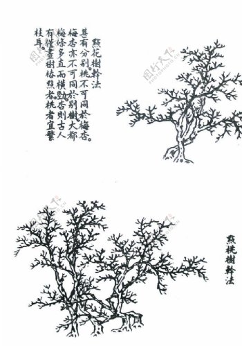 芥子园画谱图片