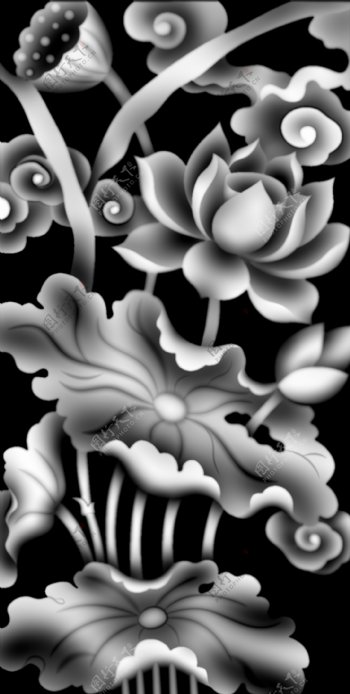 莲花灰度图图片
