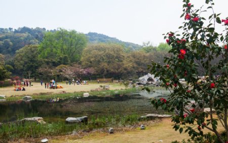 东湖风景区图片