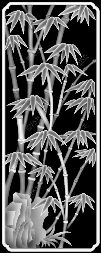 竹子灰度图图片