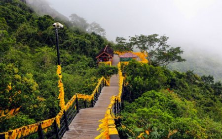 热带天堂森林公园图片