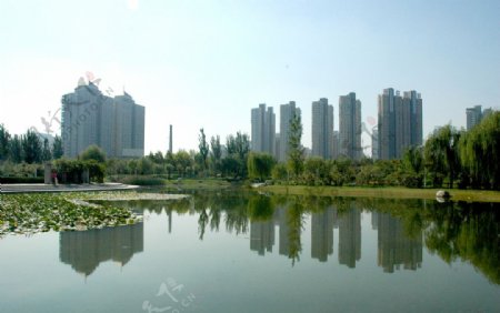 郑州郑东新区湿地公园图片