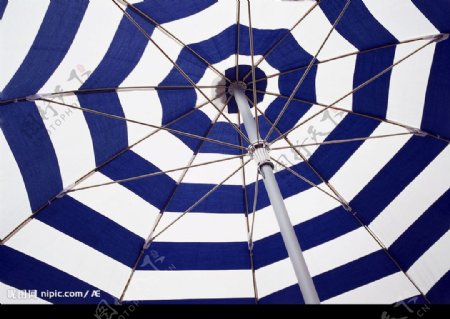 蓝白双色遮阳伞图片