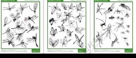 矢量中国之二白描昆虫图片