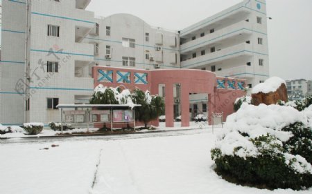 雪中的校园图片