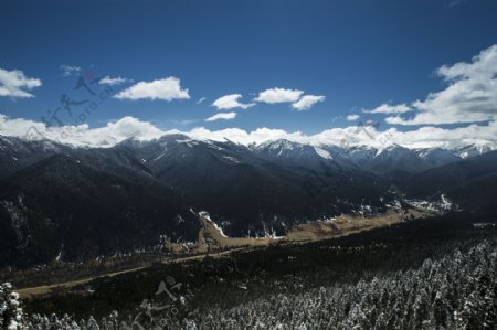 西藏林芝鲁朗林海雪景图片