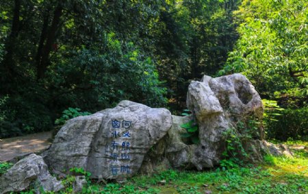 镇江南山风景区图片