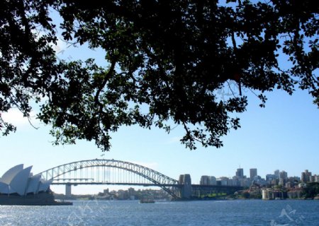 悉尼歌剧院远眺图片
