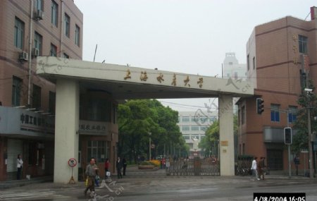 上海水产大学图片