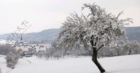 唯美祖山雪景图片