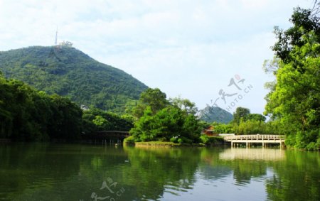 桂林园林植物园湖水风光图片