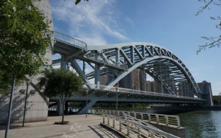 天津海河国泰桥图片