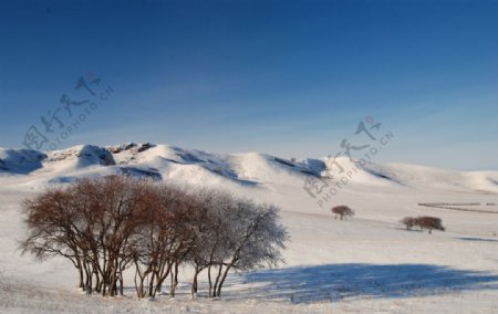 木兰围场雪景图片
