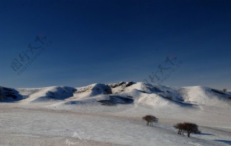 木兰围场雪景图片