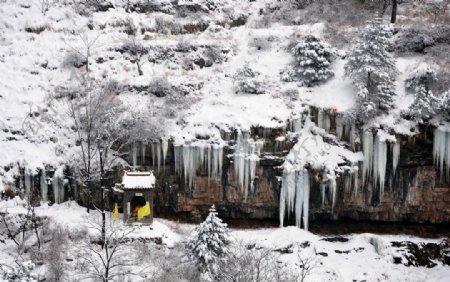 林州雪景图片
