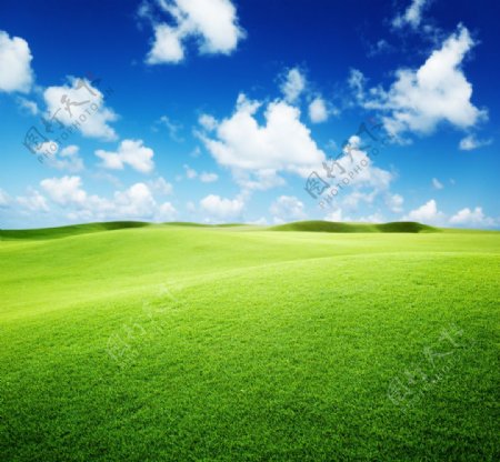 高清绿色风景背景图片