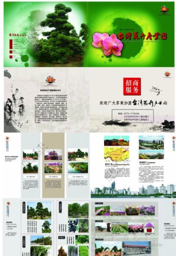台湾花卉产业园画册图片
