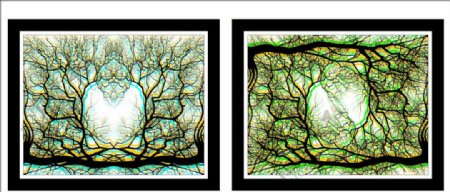 抽象树无框画图片