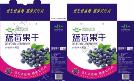 蓝莓果干礼盒包装图片