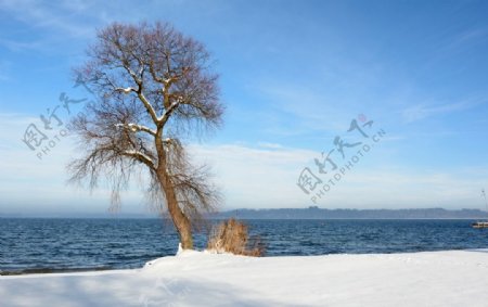 冬季海湾图片