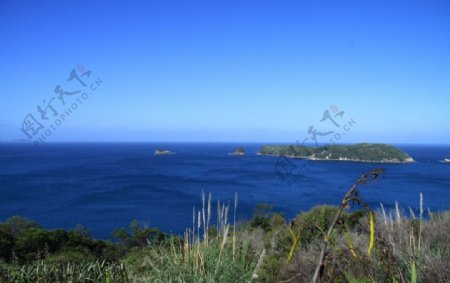 新西兰海滨自然风景图片