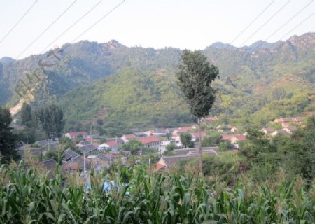 村庄图片