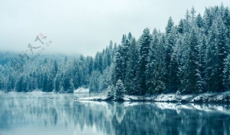 冬季的河图片