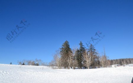 雪乡山顶图片