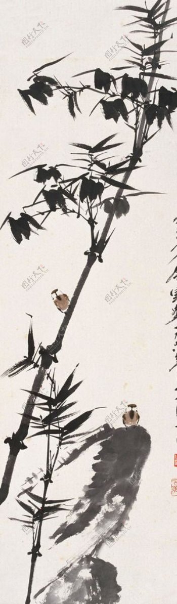 竹鸟图片