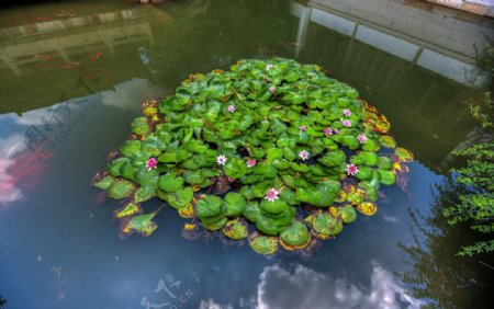 萧山湘湖图片