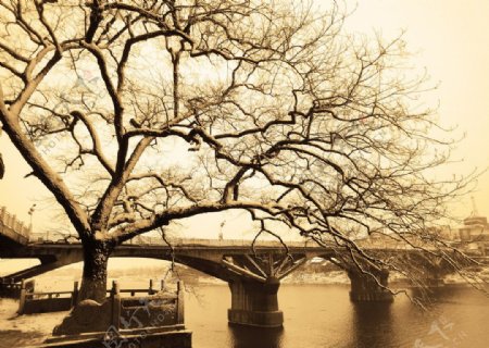 桥头冬日回忆图片