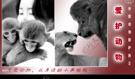 爱护动物招贴广告设计图片